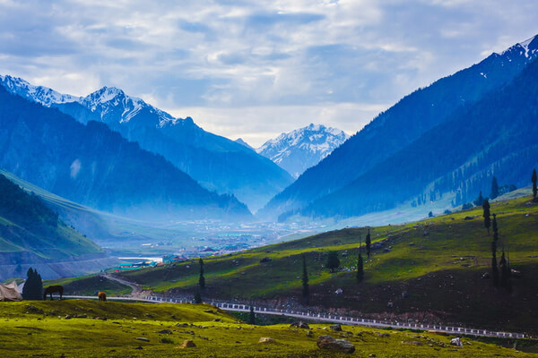 Kashmir