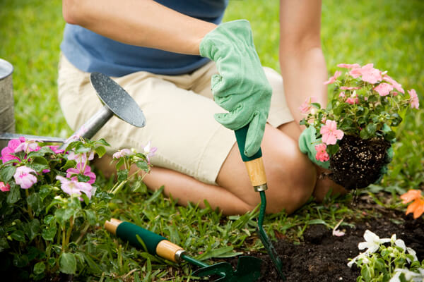 do some gardening