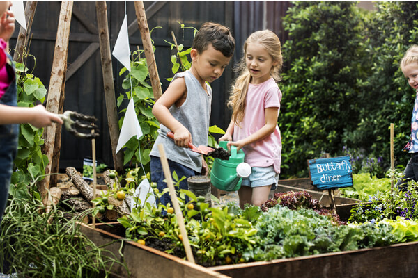 teach them about gardening