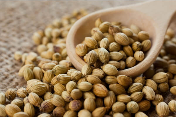 coriander seeds