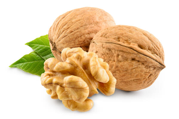 walnut