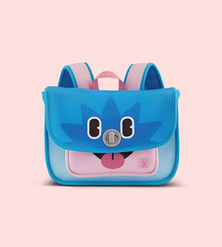 school-bags-for-class-6-to-10