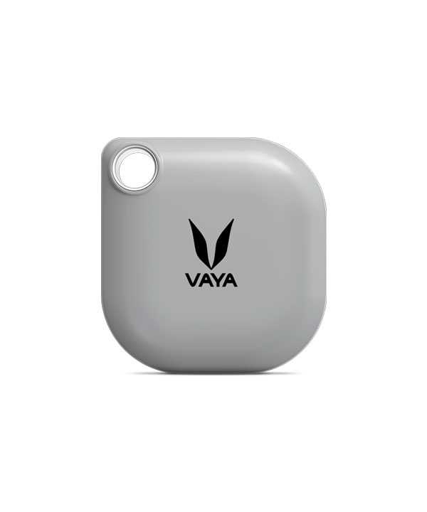 Vaya