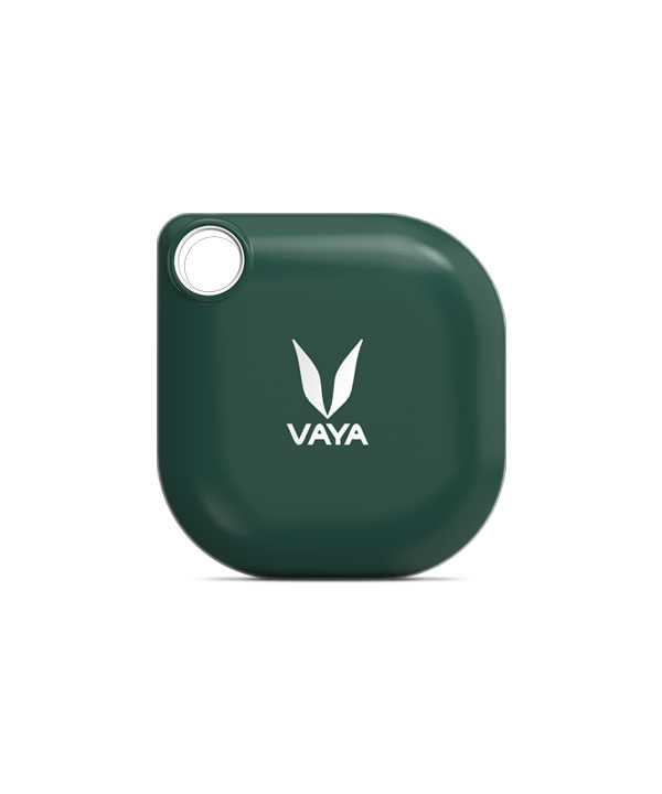 Vaya