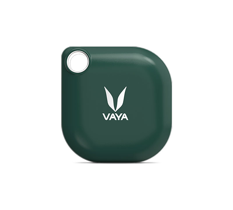 Vaya